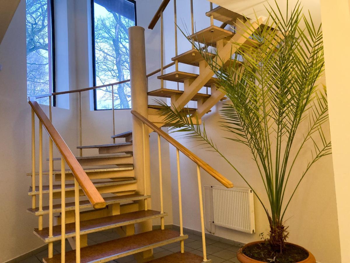 Motelis Astarte Koknese Ngoại thất bức ảnh